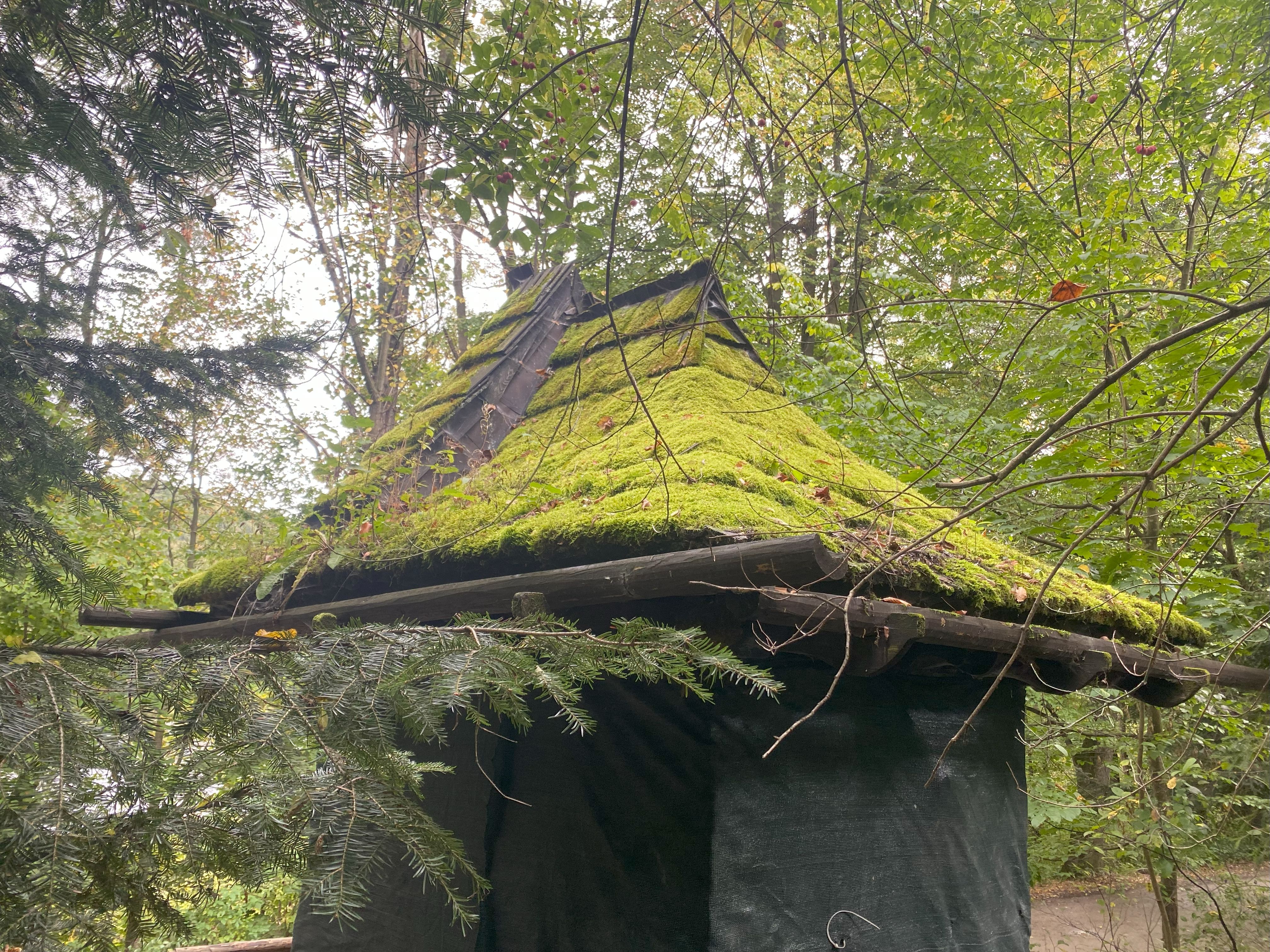 Дерев'яна черепиця